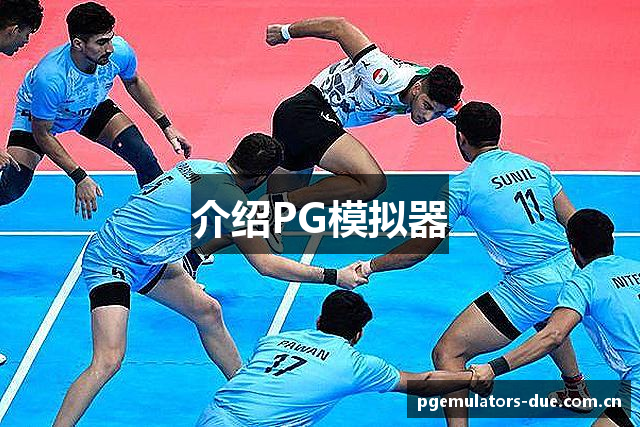 介绍PG模拟器